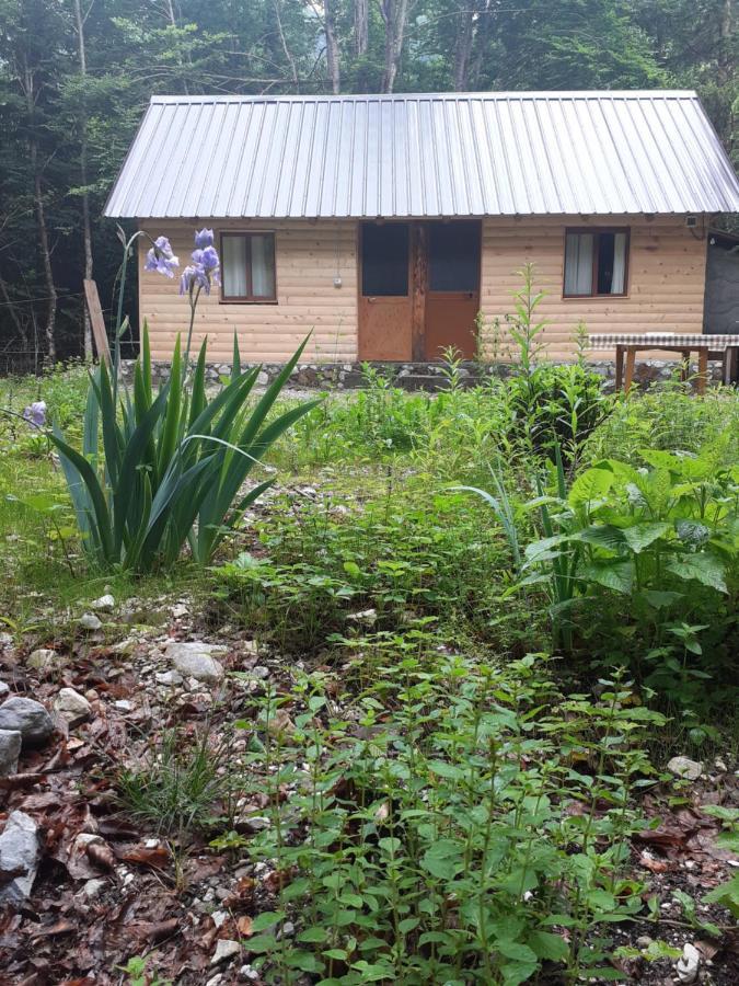 Guesthouse Dioni Valbone Exterior foto